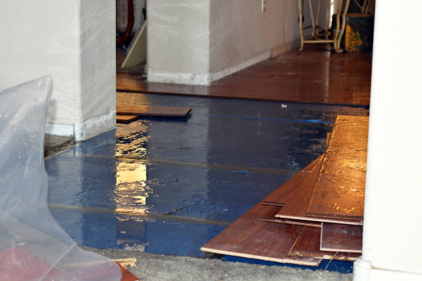 Professional Basement Flood Cleanup technician working in Syracuse, NE